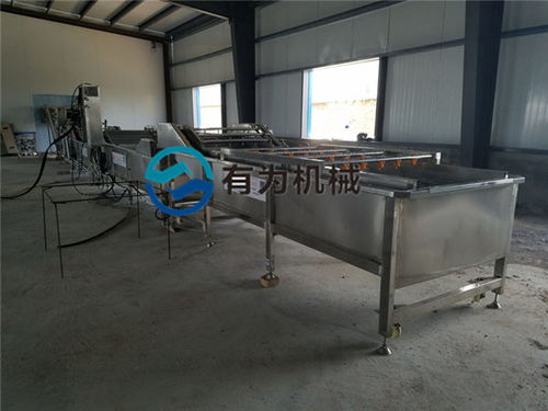 諸城有為公司 深耕蘋果清洗設備領域，服務海南與家用市場